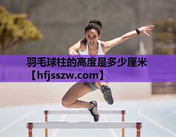 羽毛球柱的高度是多少厘米