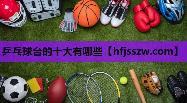 乒乓球台的十大有哪些