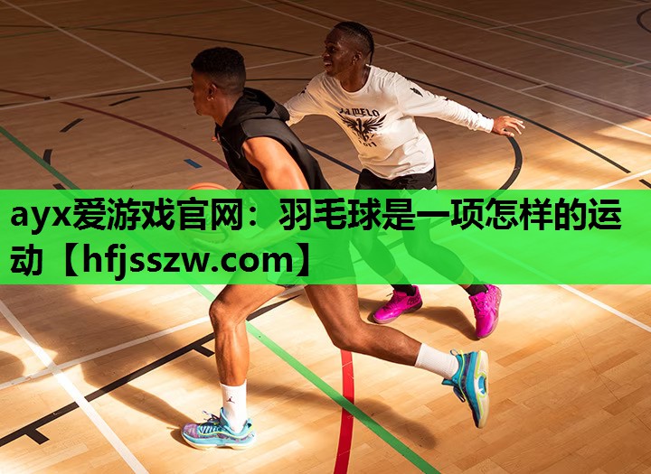 羽毛球是一项怎样的运动