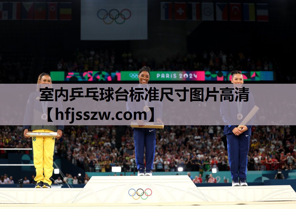 室内乒乓球台标准尺寸图片高清
